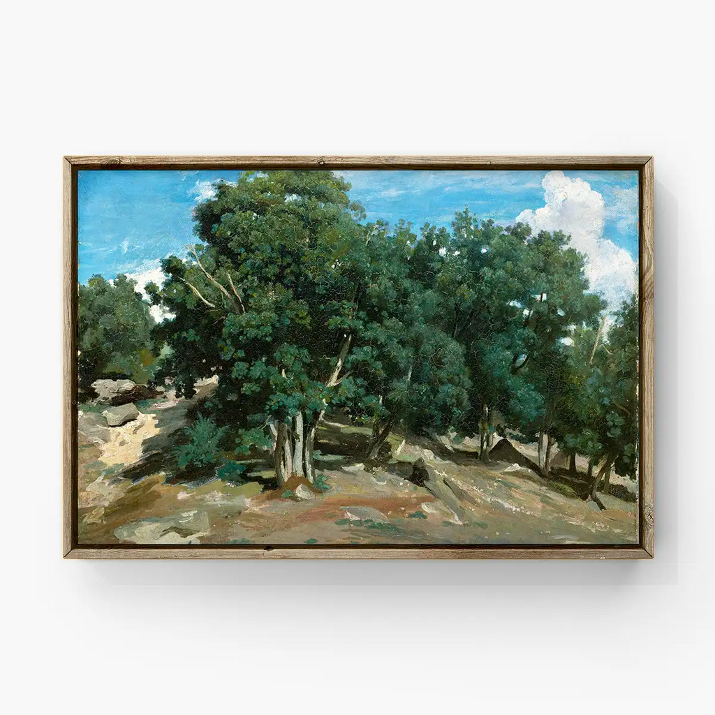 Fontainebleau: Oak Trees at Bas-Bréau printable by Camille Pissarro - Printable.app
