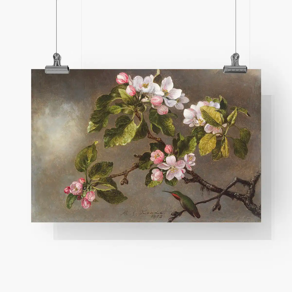 Hummingbird and Apple Blossoms printable by Martin Johnson Heade - Printable.app