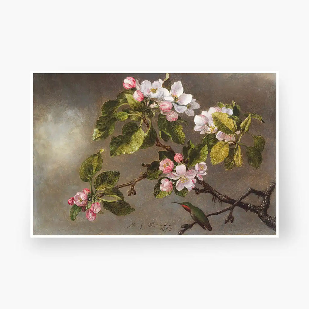 Hummingbird and Apple Blossoms printable by Martin Johnson Heade - Printable.app